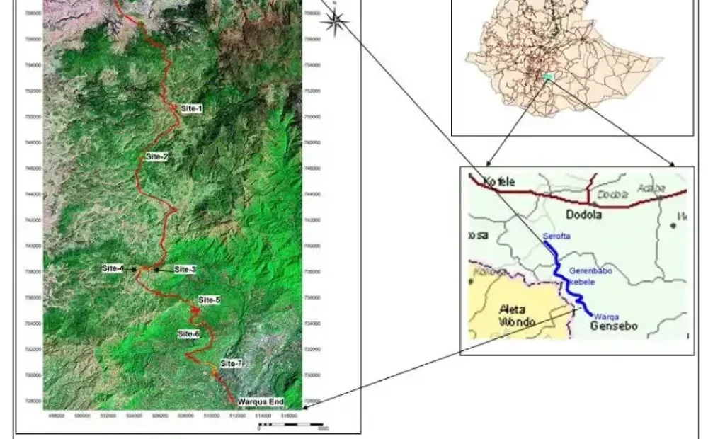 Feasibility Study